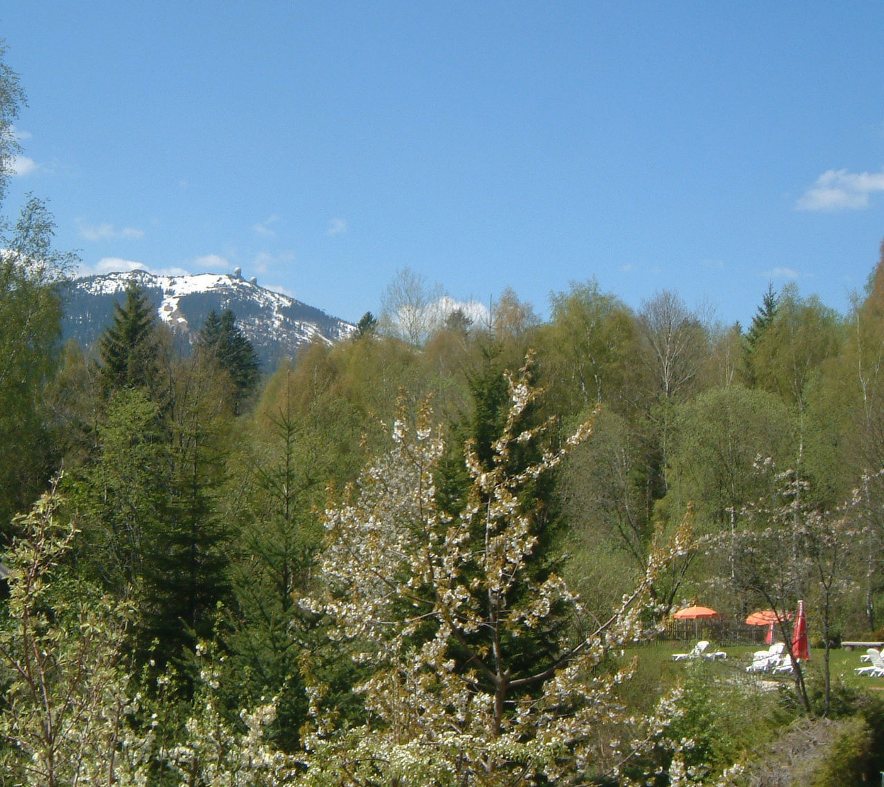 wellness-pension-bayerisch-eisenstein-bayerischer-wald-gro-er-arber
